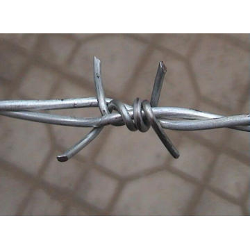 Bwg16 Single Electric Galvanzied Barbed Wire